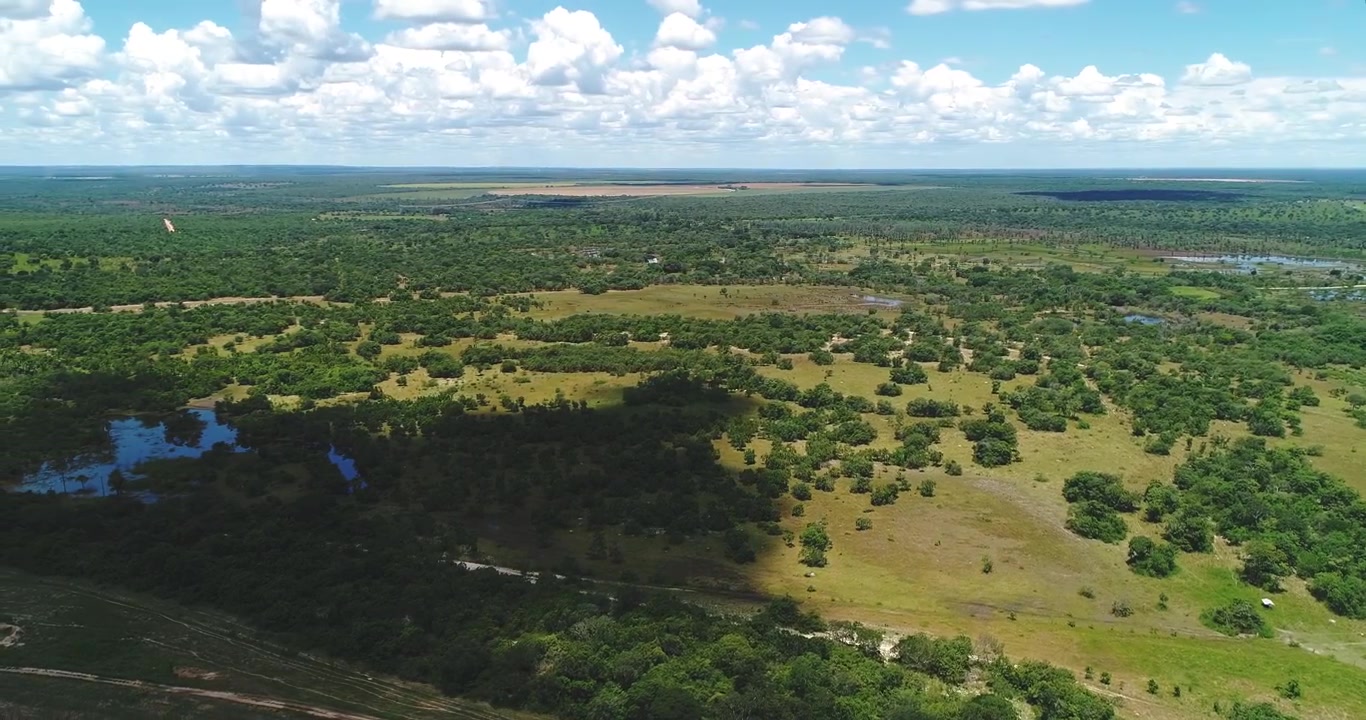 Seasonal wetland and open cerrado floodplain revealing river channels and gallery forest near Arinos, Minas Gerais, Brazil within the São Francisco basin. Drone yaw to left reveal aerial shot.