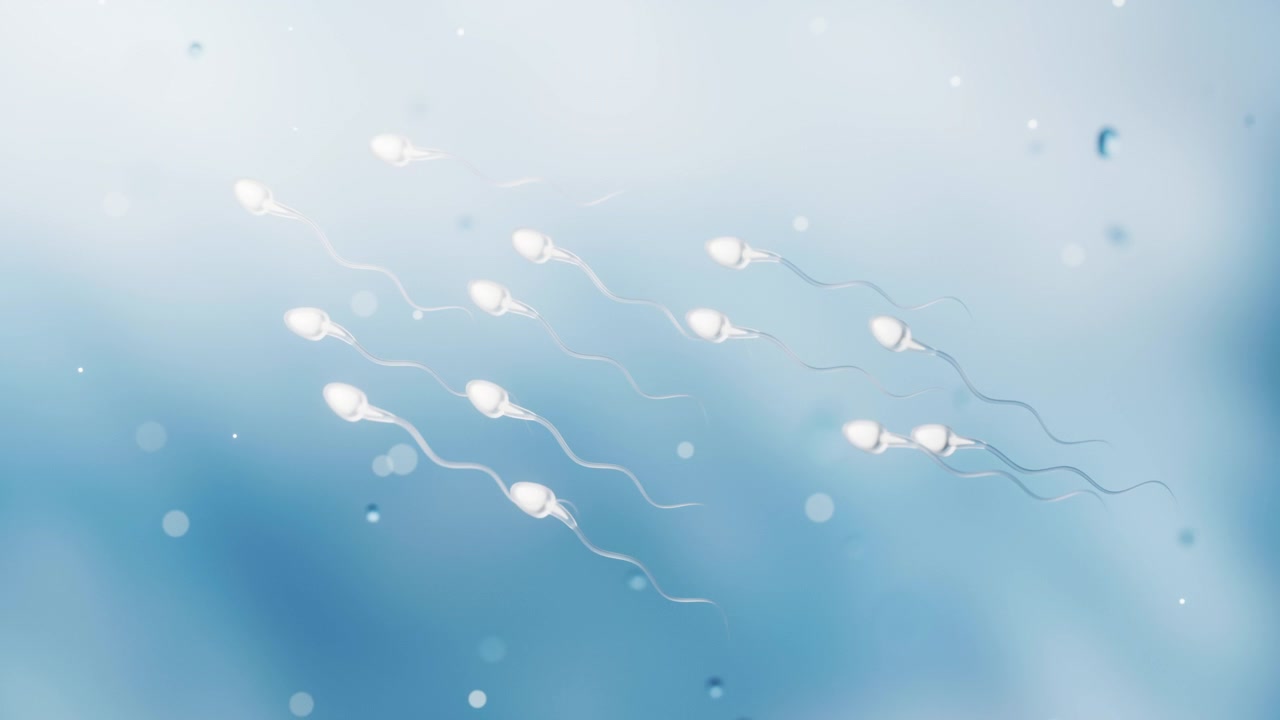 Human sperm cells with fertility concept, 3d rendering.