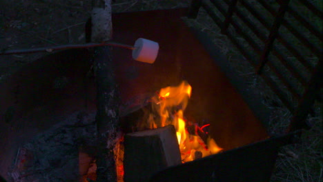 roasting a marshmallow over a hot campfire