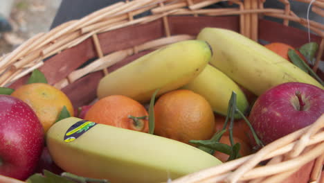 child's hand reaching into a basket of fruit