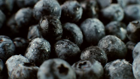 gorgeous farm fresh blueberries.