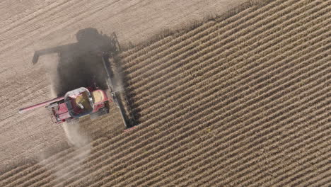 top-down view of combine harvester harvesting dry soybeans in field without tractor