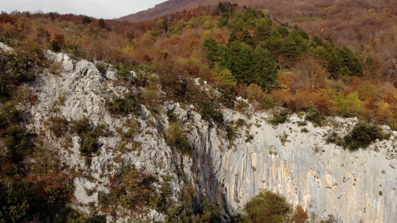 скалистая гора с разноцветными лесными деревьями на вершине осенью, вид с воздуха