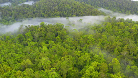 la naturaleza está limpia, manténla así.