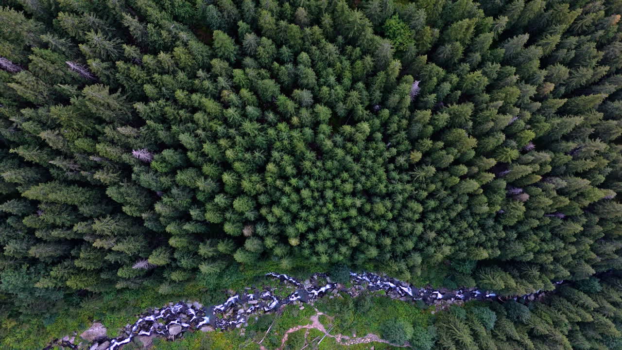 Luftfoto af frodig skov og det flydende Balea-vandfald i naturen