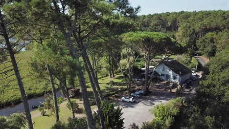 lakeside, house surrounded by pines, landes, france. aerial forward