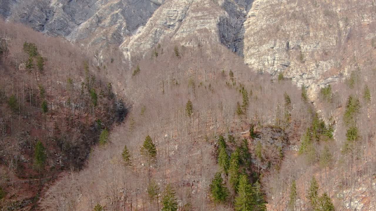 Aerial over the brown rocky mountains with few naked trees grown over it during summer season