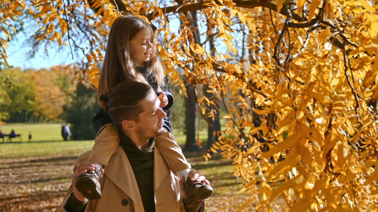 Happy family in an autumn park. Father put his daughter on his neck, girl is touching yellowed trees. Slow motion