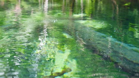 kayaking through clear waters in lush green canal environment