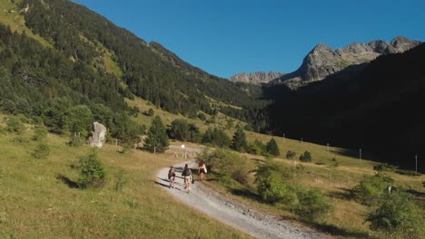 Luftdrohnenaufnahme-Von-Jugendlichen-Freunden,-Die-Durch-Einen-Bergpfad-Gehen