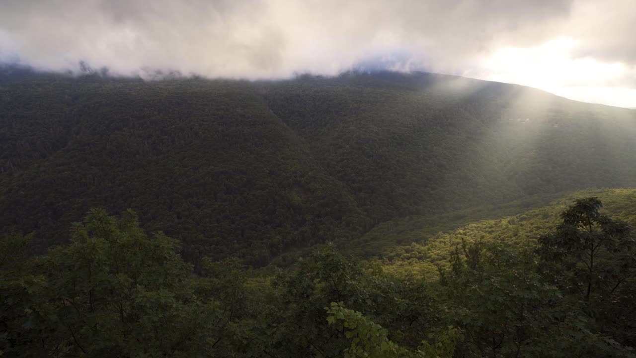녹색 여름 산에 빛나는 햇빛의 패닝 샷