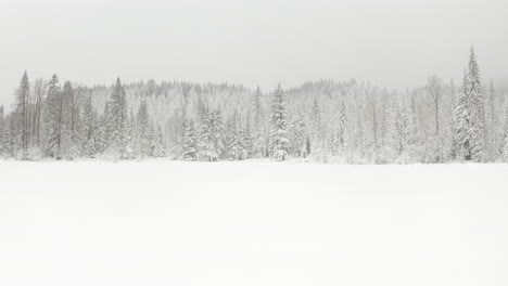 Low-Slider-Aufnahme-Von-Schneebedeckten-Bäumen-Am-Rande-Eines-Zugefrorenen-Sees