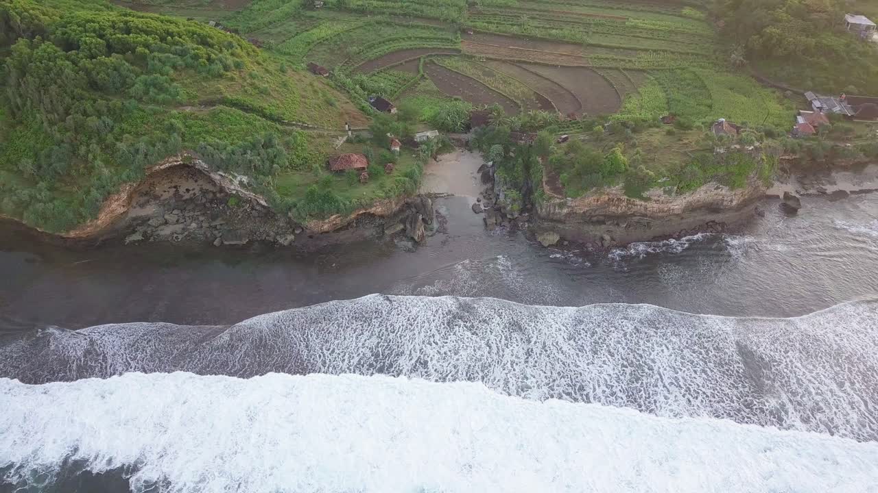 playa entre acantilado cubierto de árboles