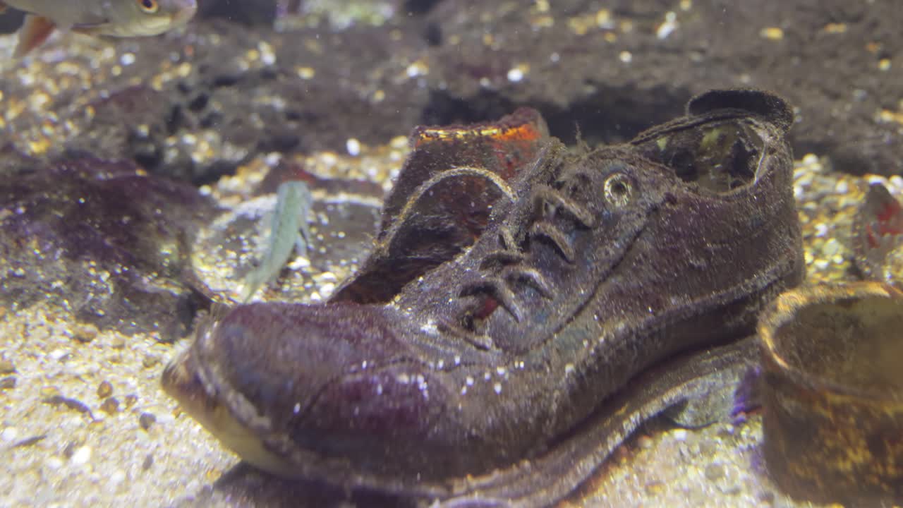problemas medioambientales relacionados con la contaminación del agua.