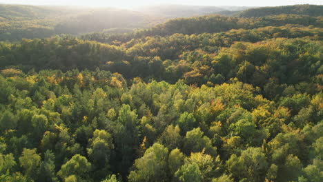 Aerial-backwards-shot-over-green-forest-landscape-hills-in-Gdynia-Witomino-during-golden-Sunset