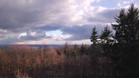 Luftdrohnenhöhe-über-Heidelberger-Wald-Im-Winter-Deutschland