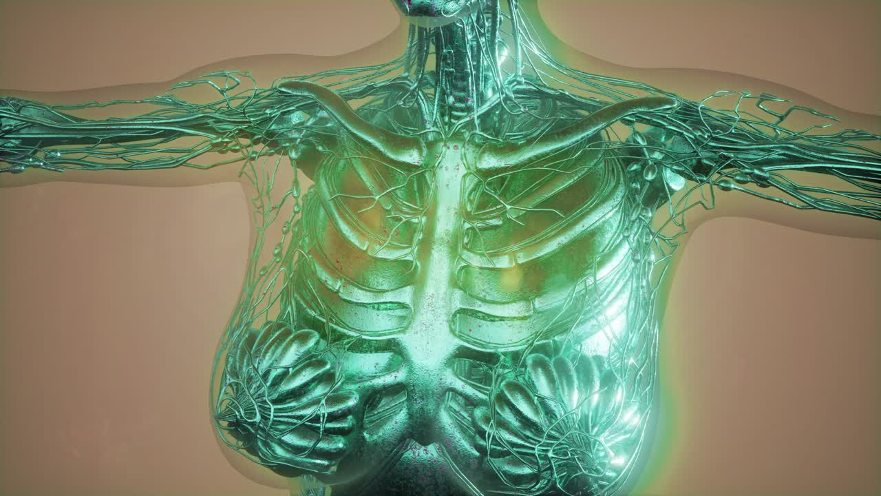 유방암 진단을 위한 매모그램 방사선 영상