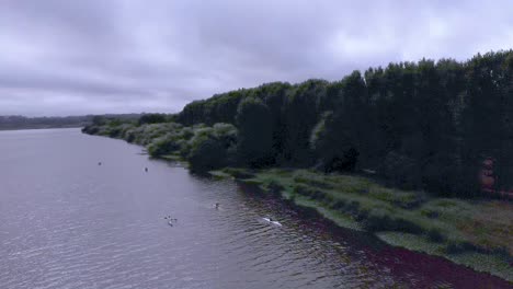 Vista-Aérea-De-Piragüismo-En-Río-Portugués-En-Macieira-De-Alcoba,-Águeda-1