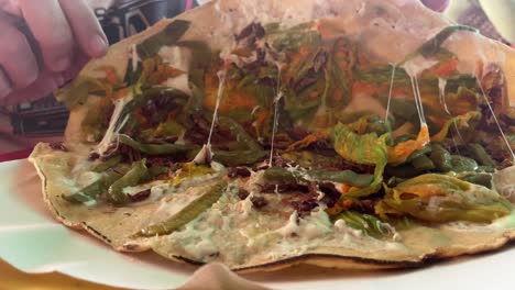 grasshopper tlayuda tortillas traditional mexican food close up