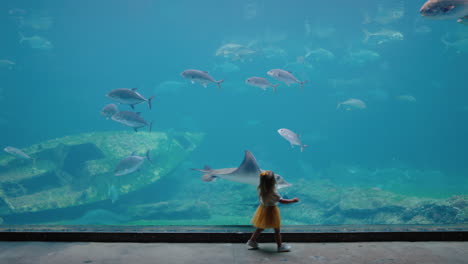 little girl in aquarium looking at stingray swimming in tank curious child watching marine animals in oceanarium having fun learning about sea life in aquatic habitat