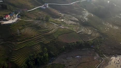 forward moving aerial shot over large colonial style houses surrounded by rice terraced mountainside and long winding road with scooters shot at 30fps, exported at 24fps