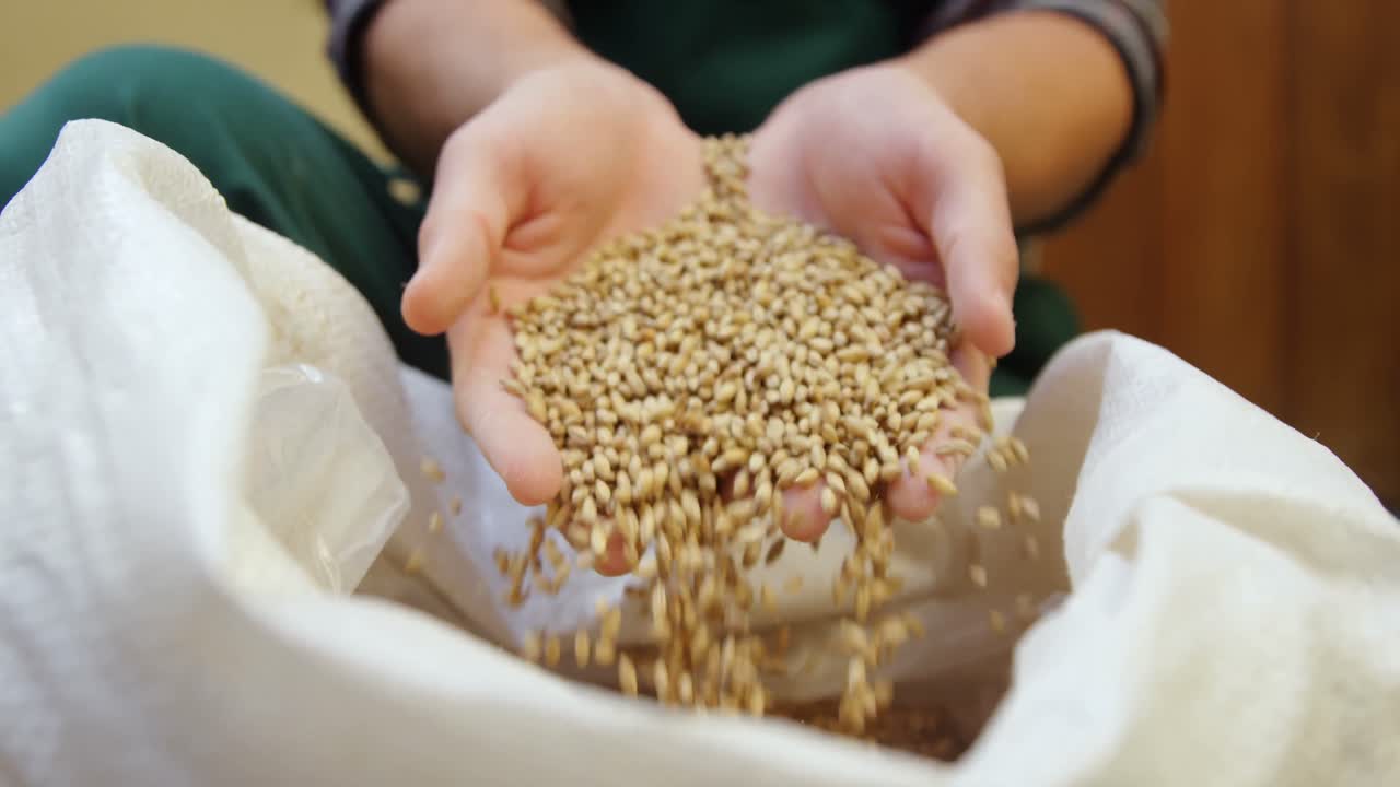 맥주 제조업체 가 4k 가방 에 곡물 을  ⁇ 고 있다