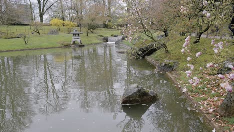 Estanque-En-El-Jardín-Japonés-De-Hasselt-En-Bélgica,-Plano-General-Estático