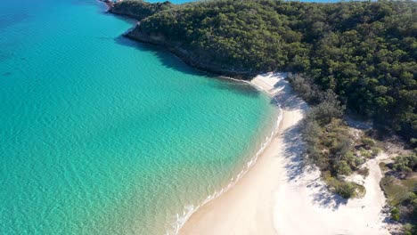 Atemberaubendes-Türkisfarbenes-Tropisches-Wasser,-Leerer-Weißer-Sandstrand-Und-Buschland-Aus-Der-Luft-über-Great-Keppel-Island,-Yeppoon,-Queensland