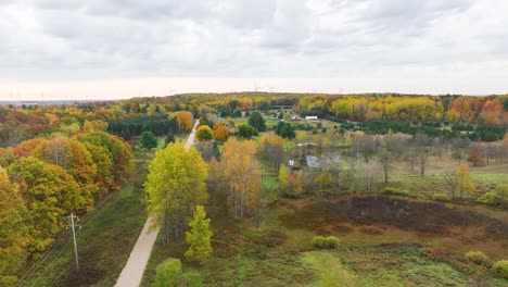 Descendiendo-A-Un-Pequeño-árbol-Cerca-De-Un-Campo-De-Turbinas-En-Michigan