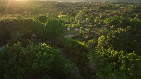 Aereial-drone-view-of-Bolivia-Jungle-countryside-near-Santa-Cruz-4k-high-resolution