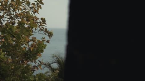 Ocean-view-behind-some-trees-in-the-indian-rainforest