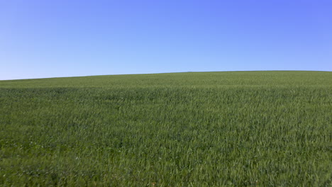 en la naturaleza encontrarás escenas de belleza infinita