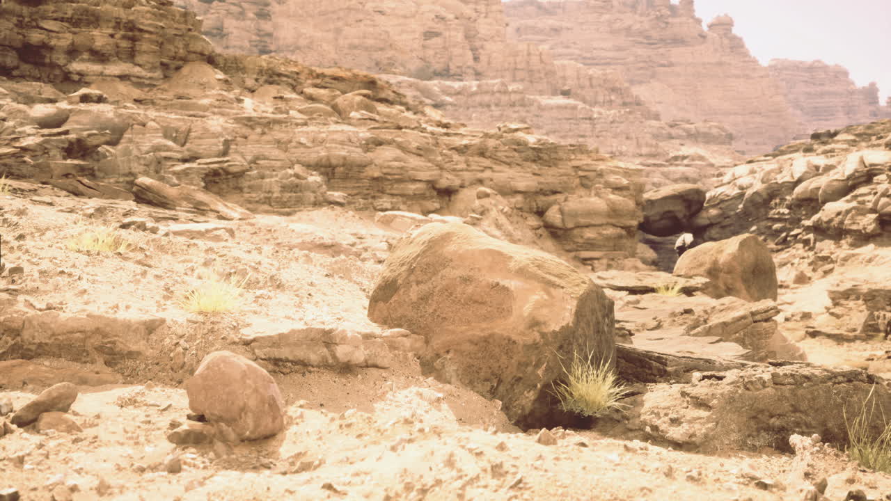 Rocky desert landscape with unique rock formations and sparse vegetation
