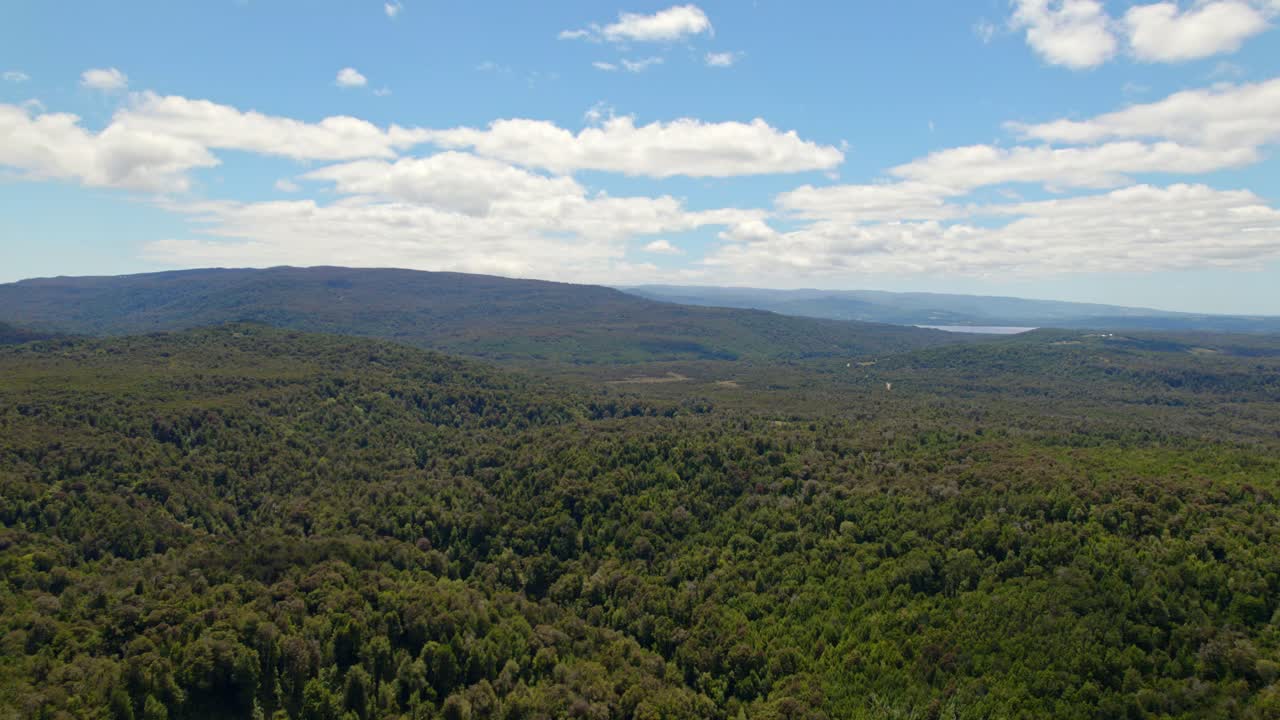 sobrevuelo que establece la naturaleza verdosa del parque de tepuhueico, isla de chiloé, chile