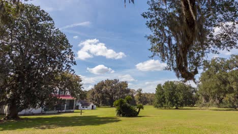 green trees and grass during daytime in summer with live oaks over a southern plantation