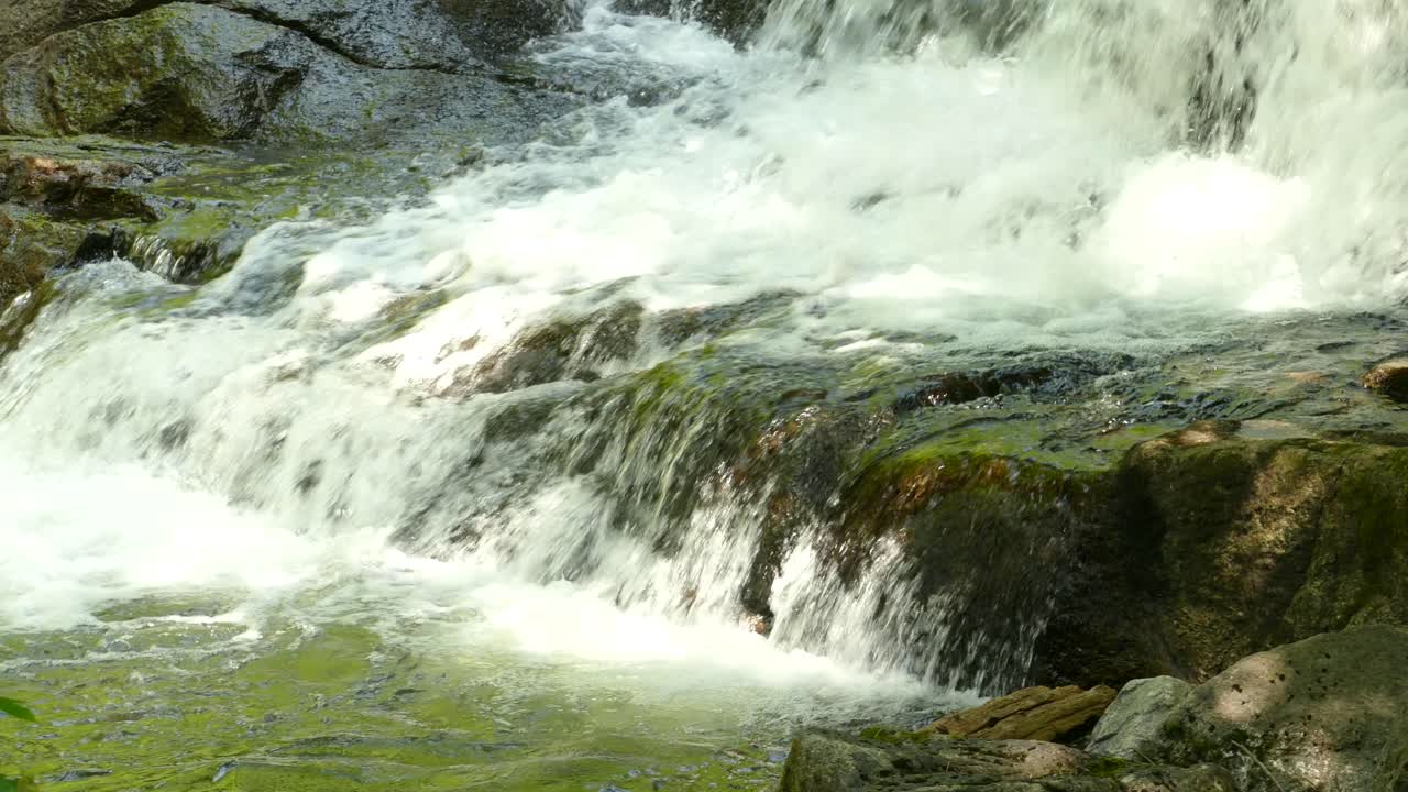 una pequeña cascada en un bosque en ontario, canadá, panorámica de tiro medio a la derecha