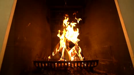 leña en una chimenea en cámara lenta. alta definición