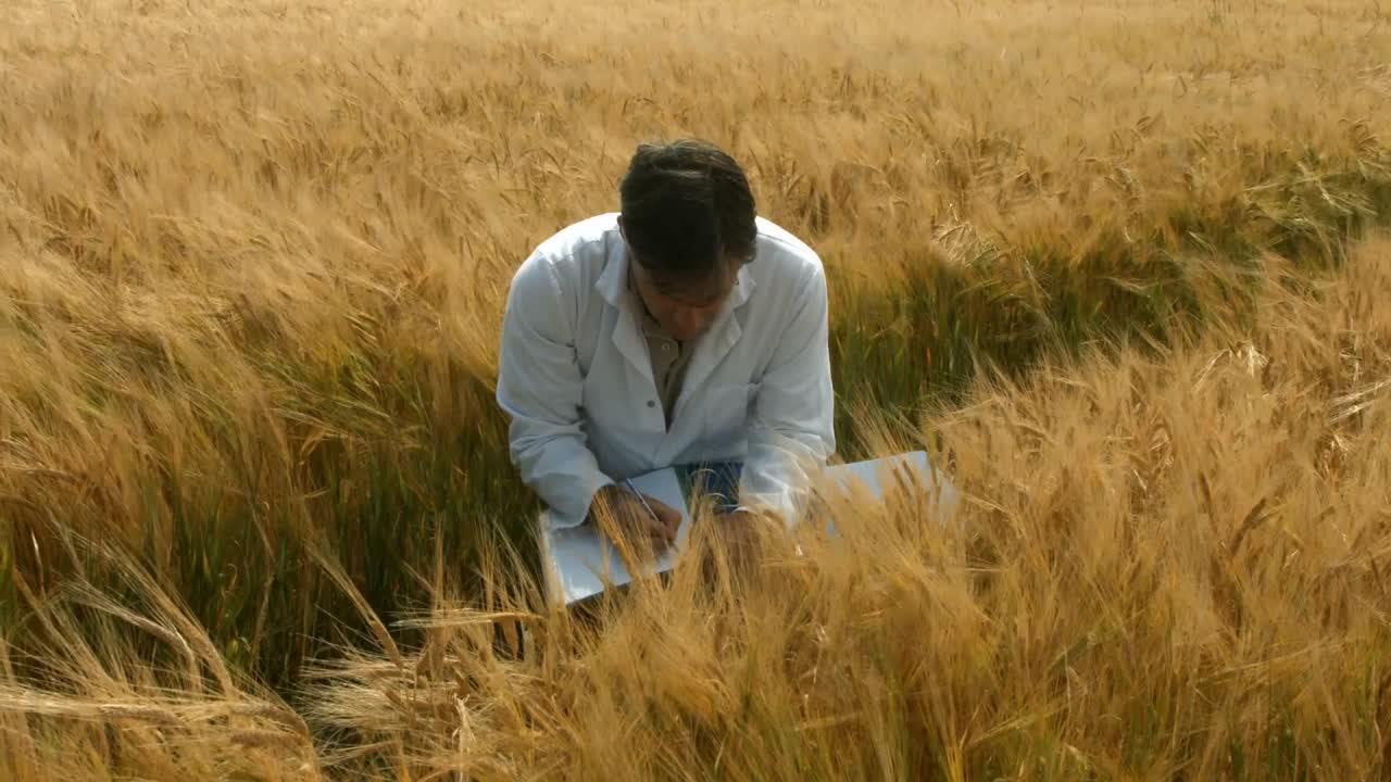 식품 과학자 가 농작물 을 점검 하고 있다