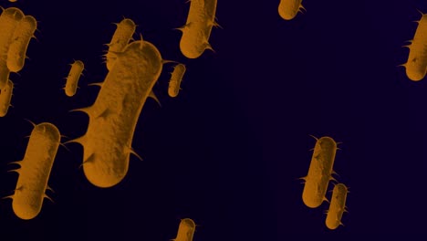 bacteria microscópica de 4k antecedentes médicos - bucle, bacteria bucleable - bacteria e. coli flotante - bacteria - animación en 3d de bacrerium. espirilla - bacteria de primer plano - color naranja