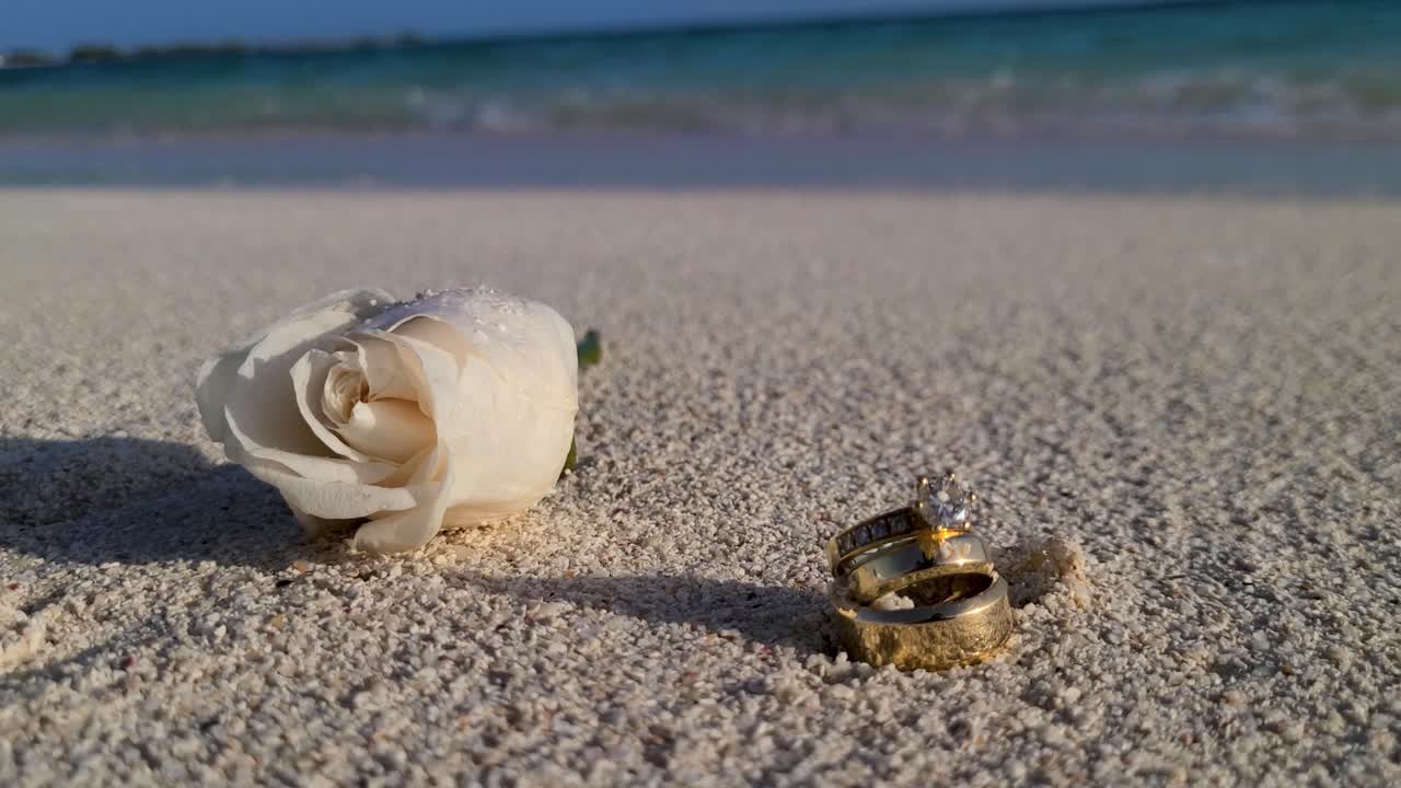 Close up white rose flower and wedding ring on sand beach, wedding beach concept