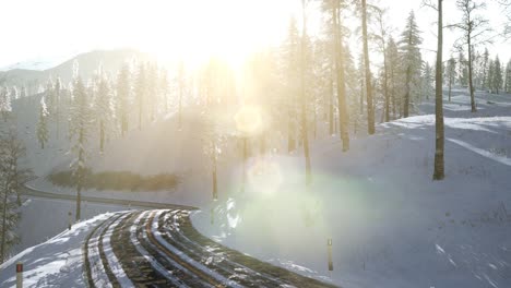 Flight-above-Winter-Forest