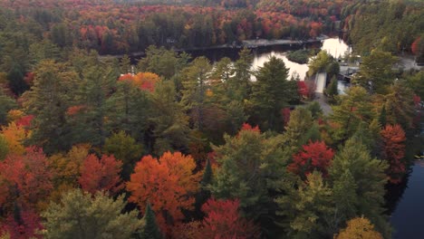 flying over autumn foliage, revealing a waterfall in middle of forest in canada - tilt, drone shot