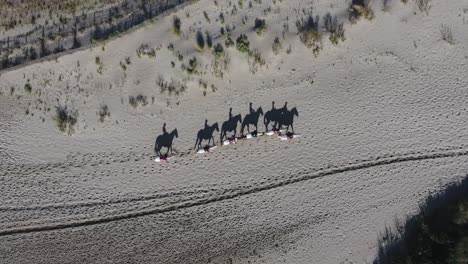 Schatten-Von-Pferden,-Die-Während-Eines-Ausritts-In-Frankreich-Auf-Dem-Sand-Laufen.