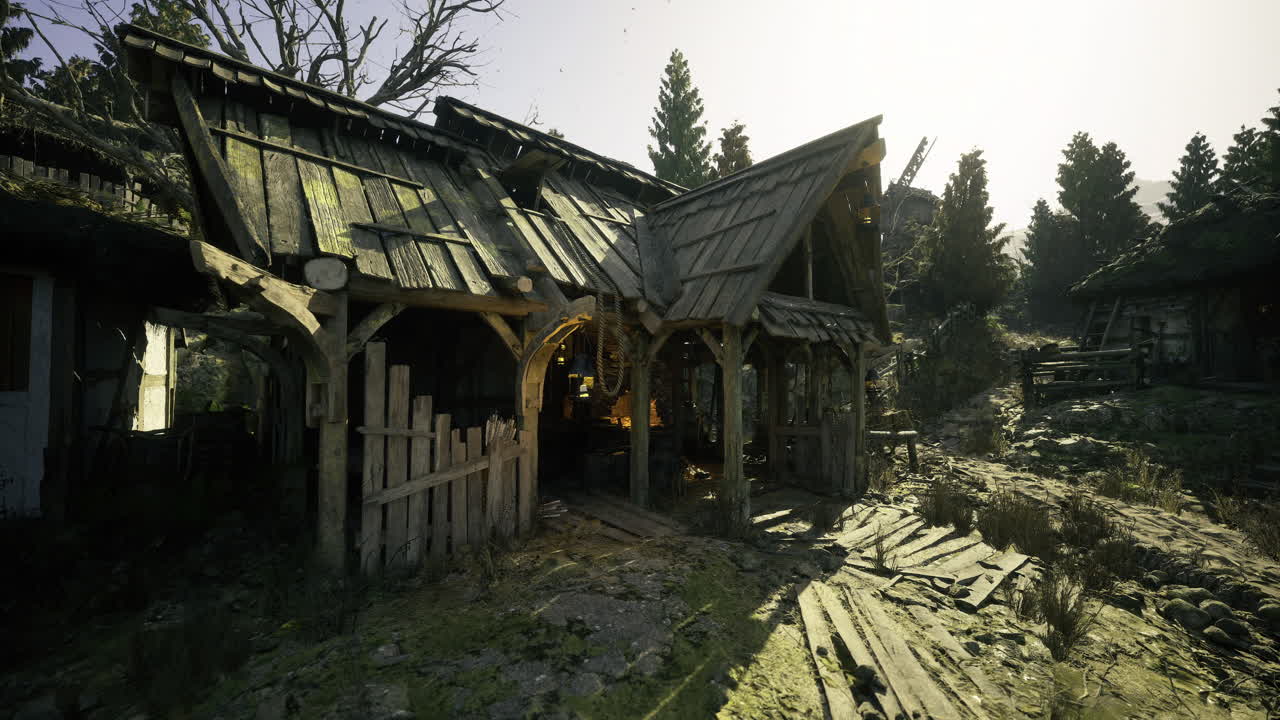 Abandoned wooden houses surrounded by trees in a rural area during sunset