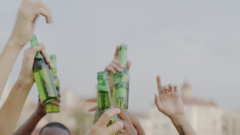 amigos brindando con cerveza