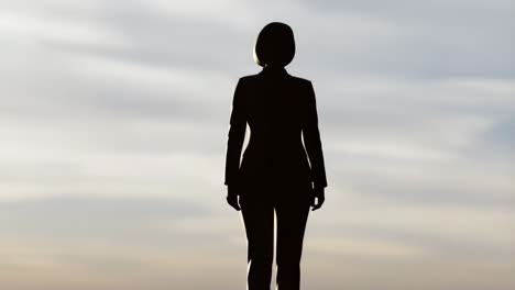 silhouette of a woman in a suit against a cloudy sky