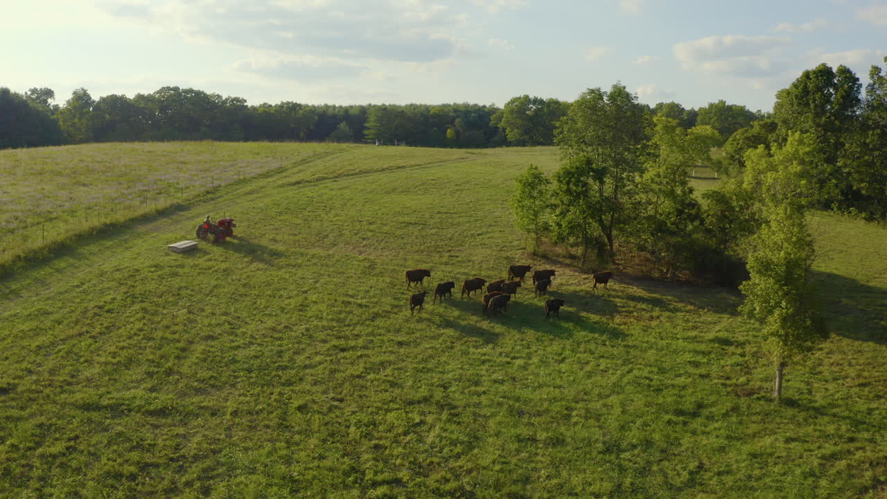 Uma imagem de drone de vacas e um trator em uma fazenda em Ohio