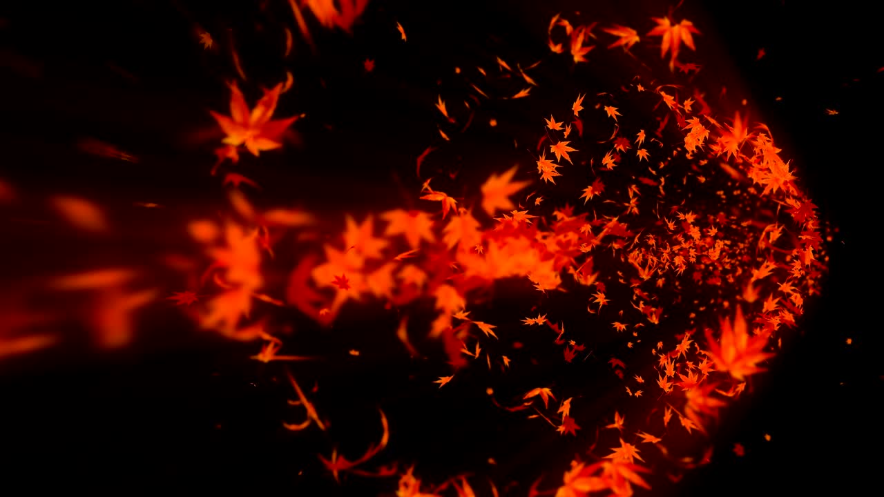 vórtice de colorido arce y hojas. espiral partícula brillante de hojas de otoño. hoja de baile. colorida naturaleza túnel bucle de animación.