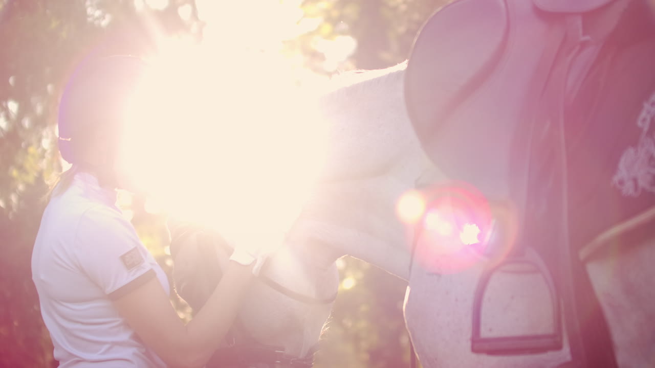 это теплое объятие с прекрасной лошадью. лошадь гладит свою лошадь.