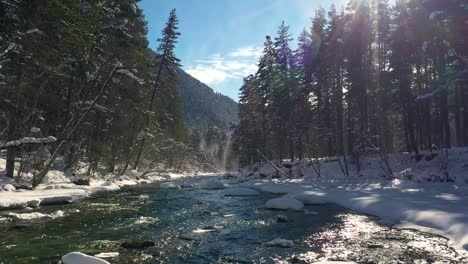 Schöner-Schneeszenenwald-Im-Winter.-Überfliegen-Von-Fluss--Und-Kiefernbäumen,-Die-Mit-Schnee-Bedeckt-Sind.